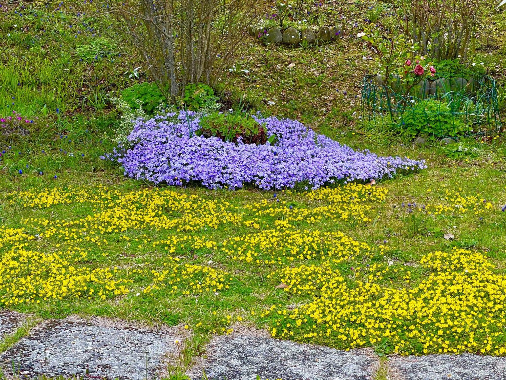 Mazzetti Country House-Vita In Campagna Con Giardino Vimignano-Chiesa Exterior photo