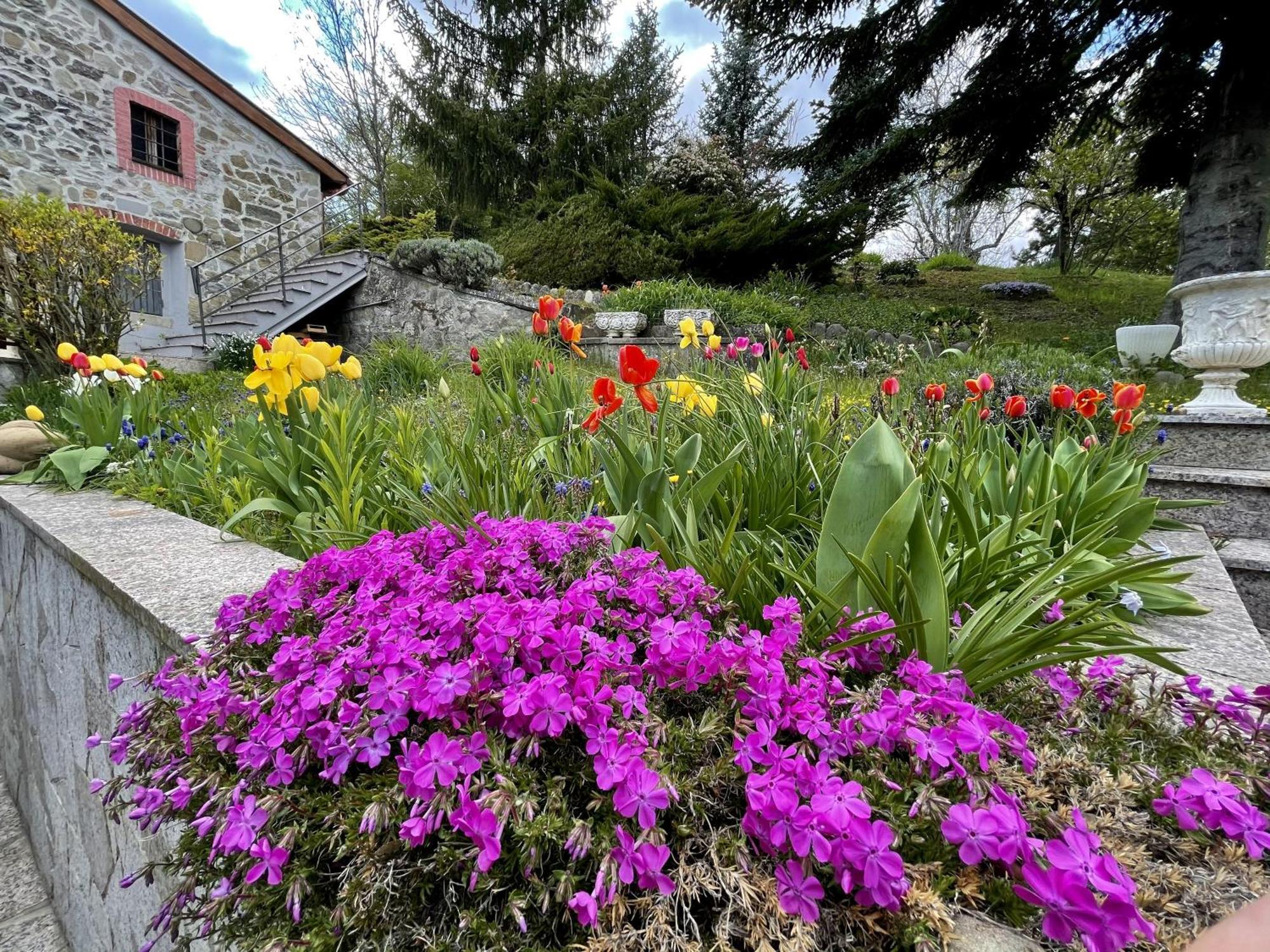 Mazzetti Country House-Vita In Campagna Con Giardino Vimignano-Chiesa Exterior photo