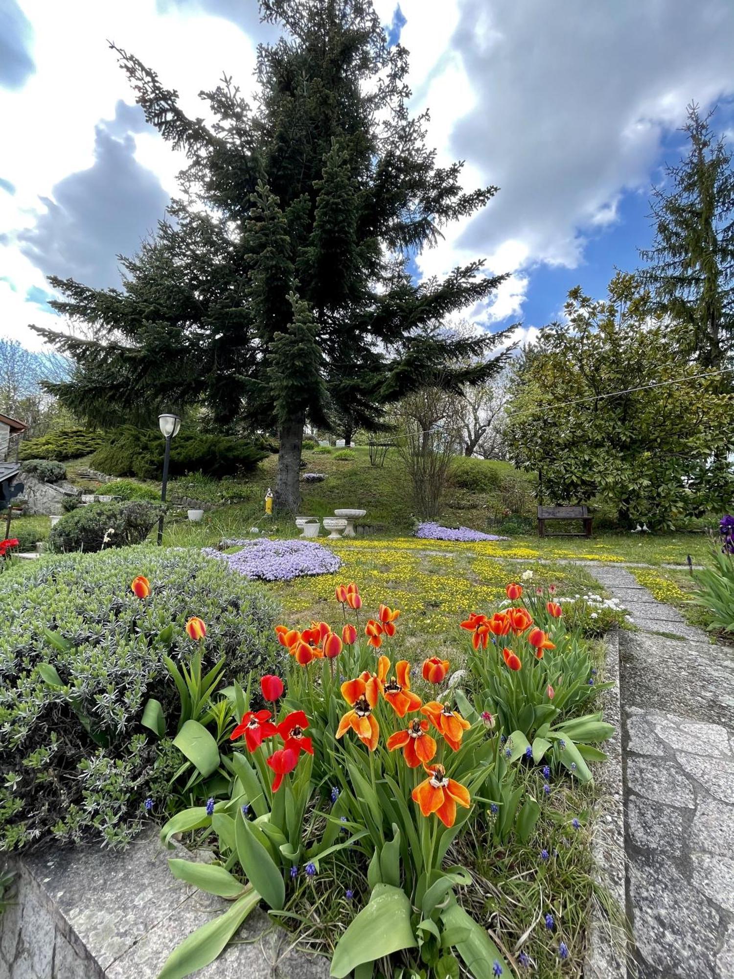 Mazzetti Country House-Vita In Campagna Con Giardino Vimignano-Chiesa Exterior photo
